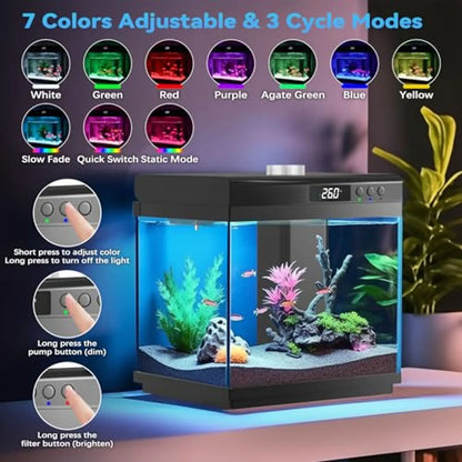 3.7 Gallon Aquarium Starter Kit