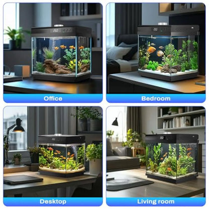3.7 Gallon Aquarium Starter Kit