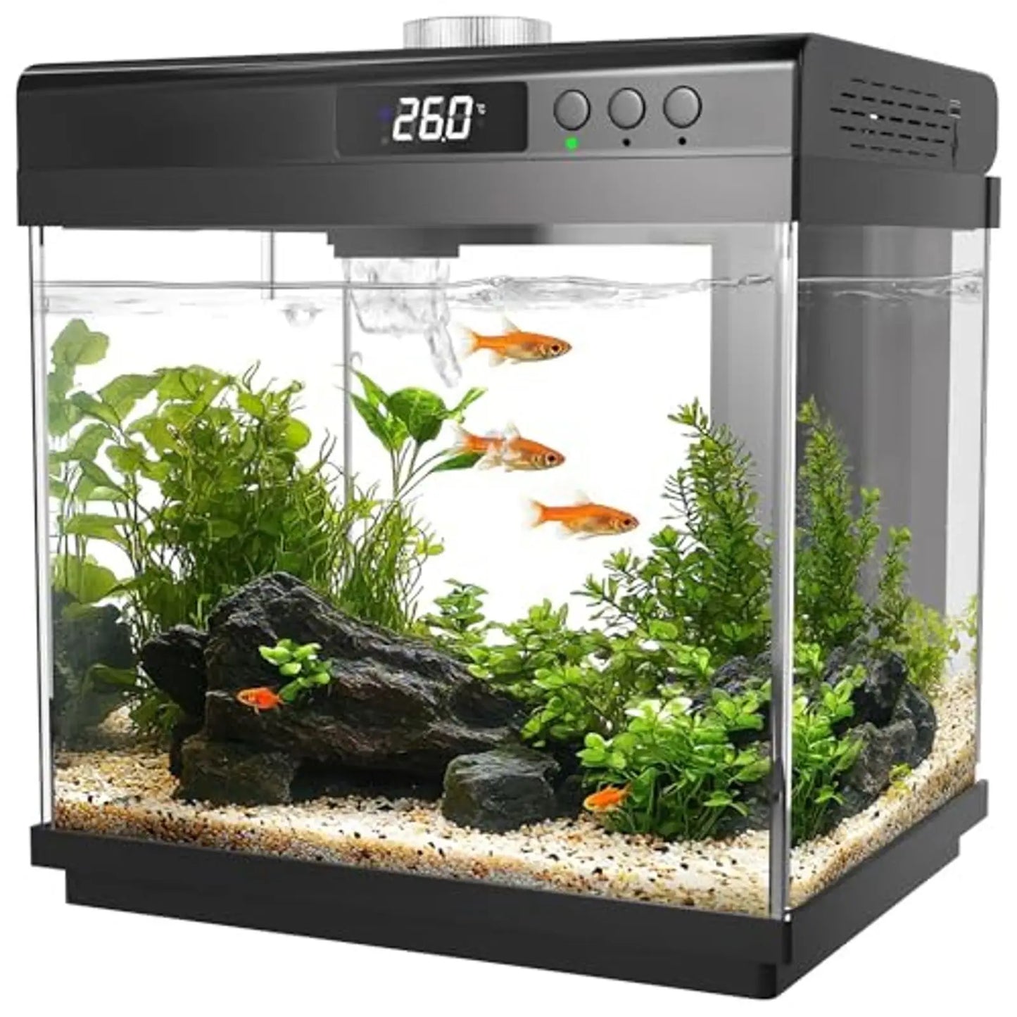 3.7 Gallon Aquarium Starter Kit