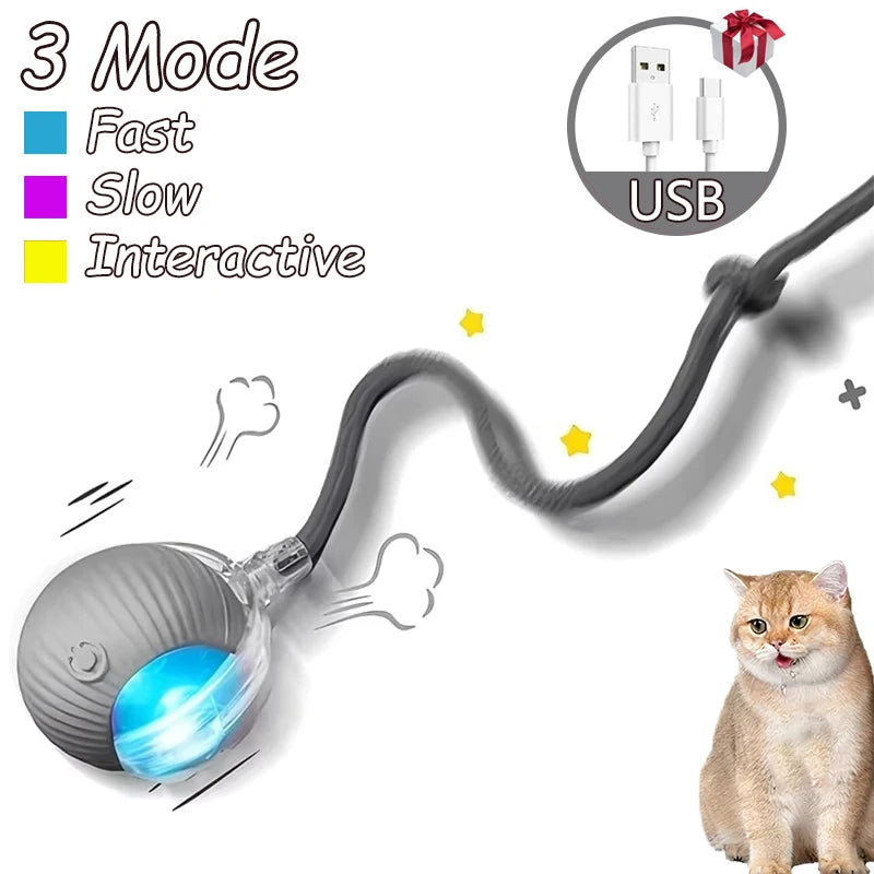 2pcs Ball & Mouse w/Tail Pet Toys-Rechargeable