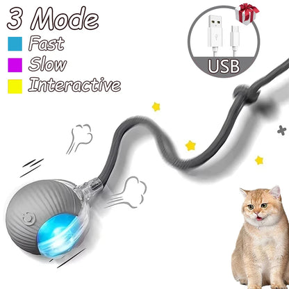 2pcs Ball & Mouse w/Tail Pet Toys-Rechargeable