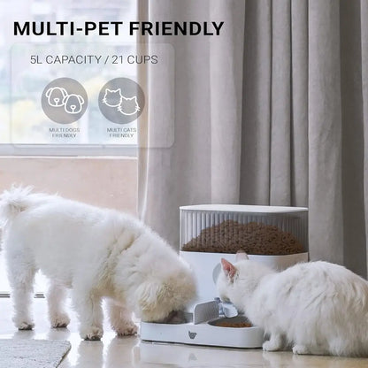 Double Smart Automatic Pet Feeder