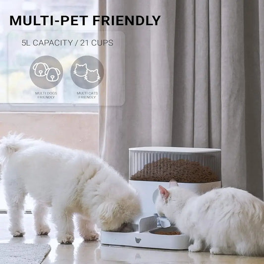 Double Smart Automatic Pet Feeder