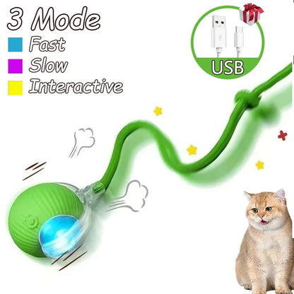 2pcs Ball & Mouse w/Tail Pet Toys-Rechargeable