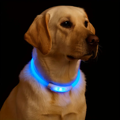 LED USB Rechargeable 3 Mode Pet Collar