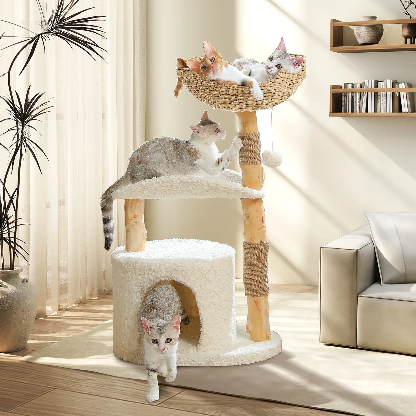 Solid Wood Indoor Cat Tree