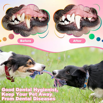 Braided Cotton Rope Tug of War Toy