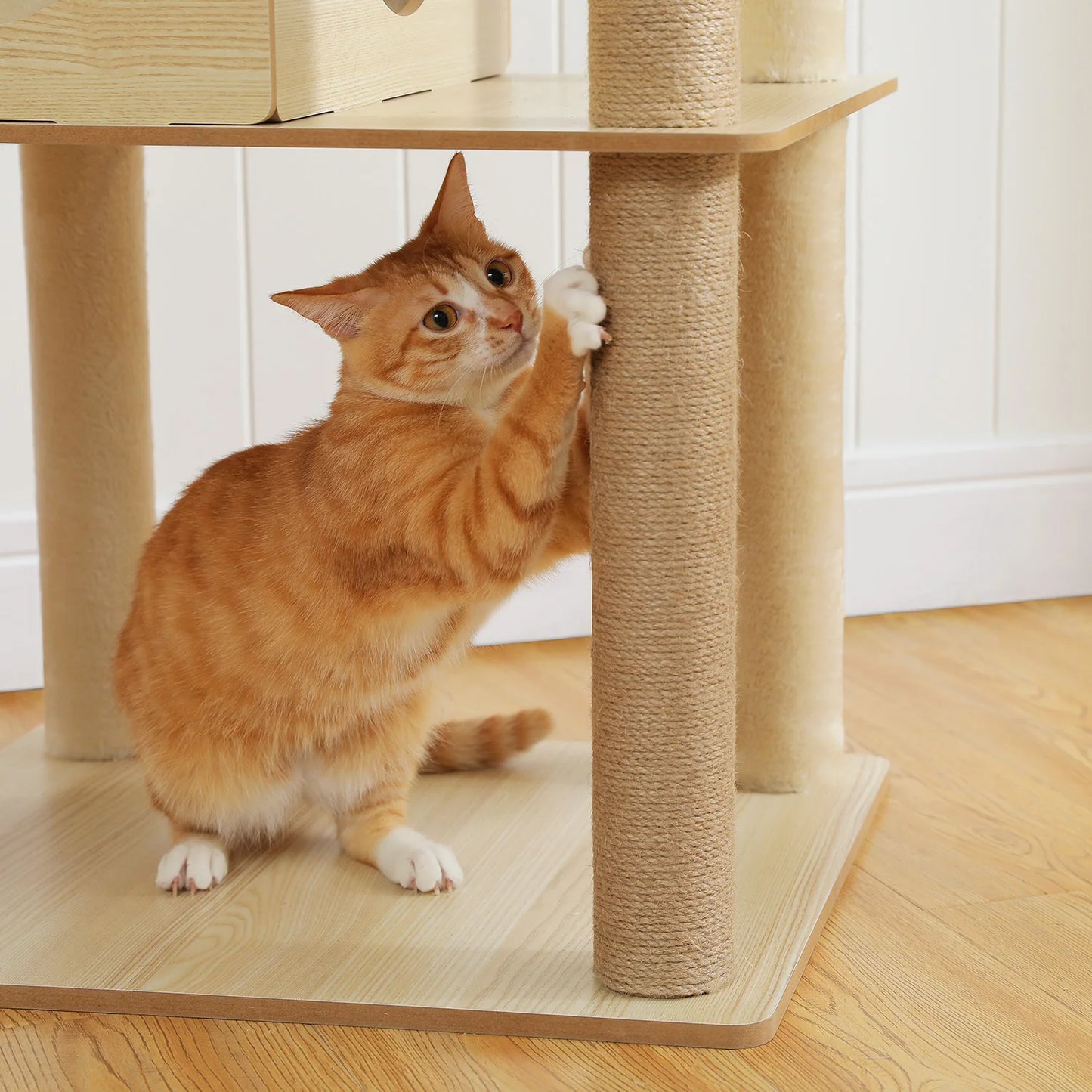 Indoor Wood Cat Tower w/Scratching Posts