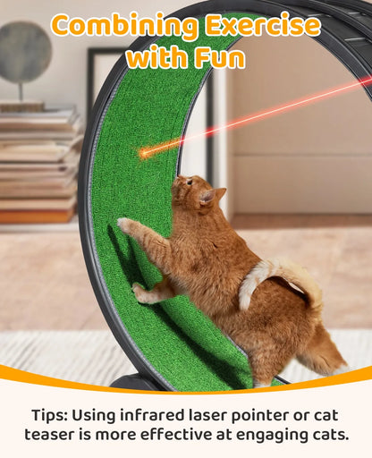 Indoor Large Cat Exercise Wheel Treadmill Cat Running Wheel Silent Movement Toy