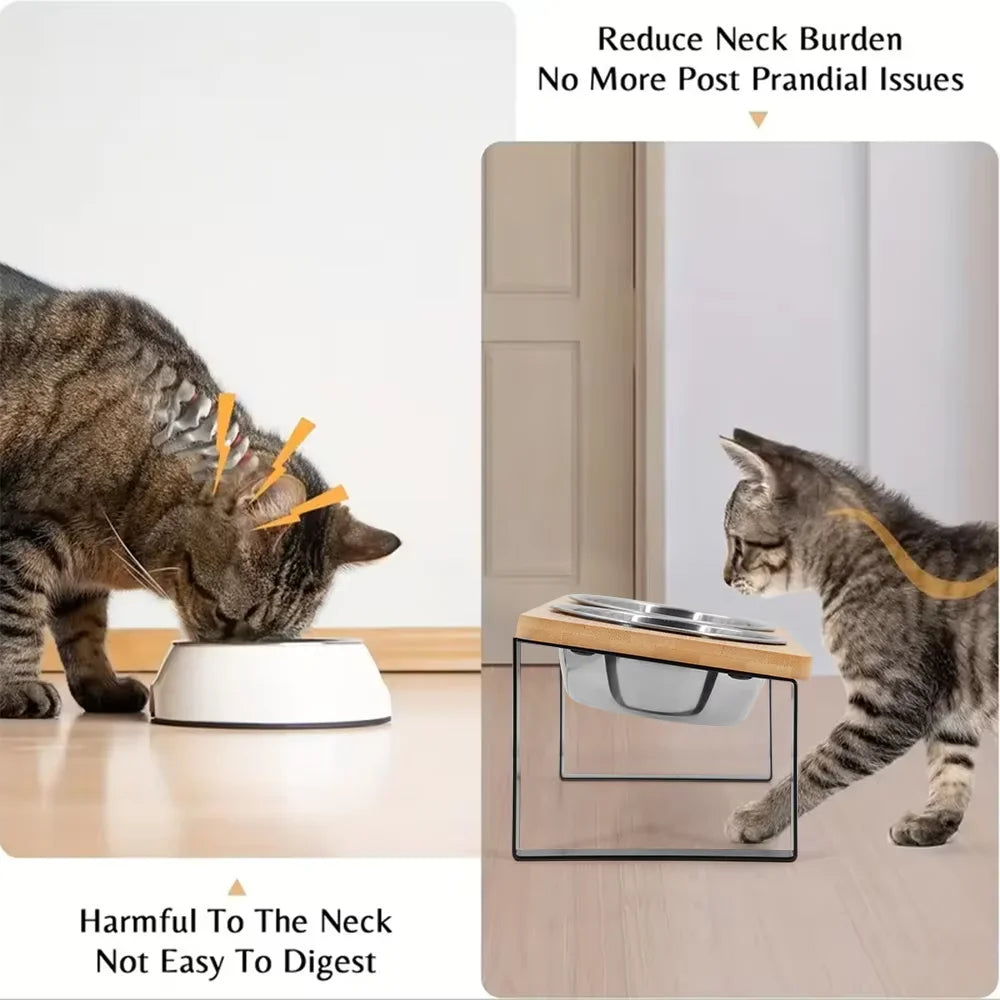 2 Elevated Stainless Steel Pet Bowls w/Mat