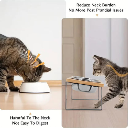 2 Elevated Stainless Steel Pet Bowls w/Mat