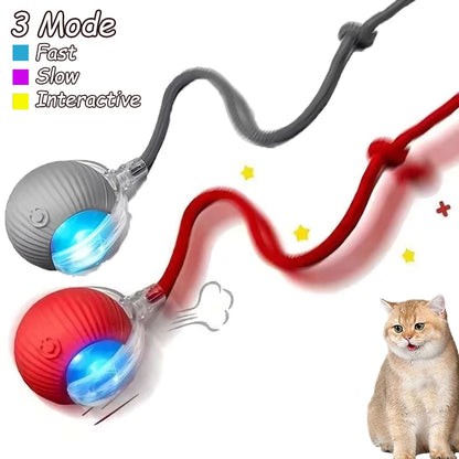 2pcs Ball & Mouse w/Tail Pet Toys-Rechargeable