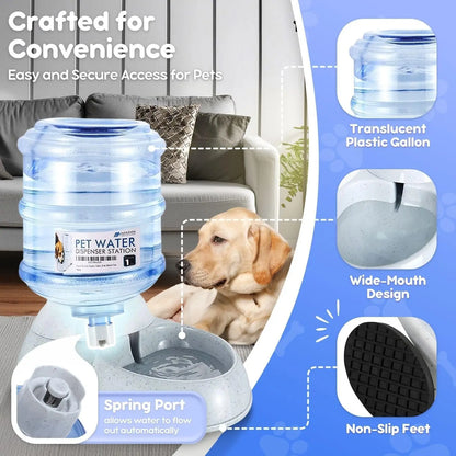 Automatic Pet Feeder and Waterer Set