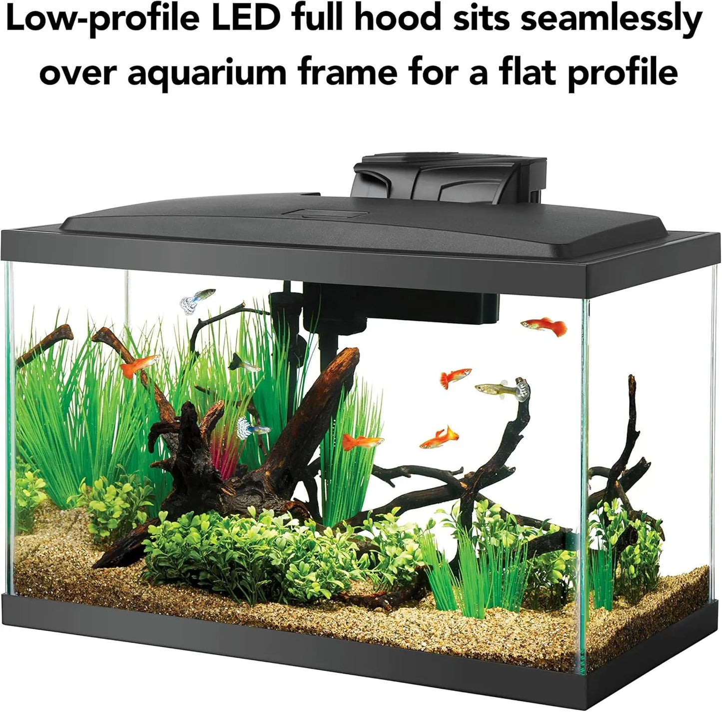 10 Gallon Aquarium Starter Kit with LED Lighting