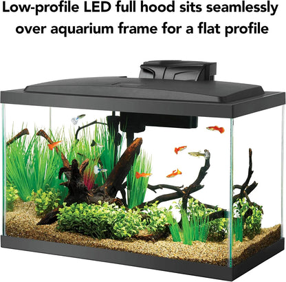 10 Gallon Aquarium Starter Kit with LED Lighting