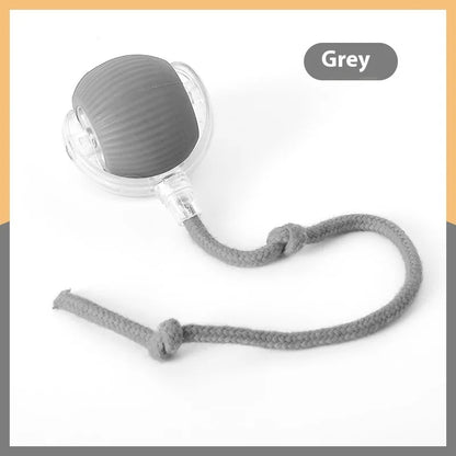 Interactive Toy Super Drive Rolling Ball